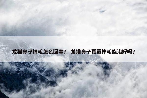 龙猫鼻子掉毛怎么回事？ 龙猫鼻子真菌掉毛能治好吗？