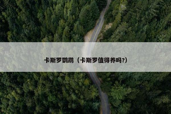 卡斯罗鹦鹉（卡斯罗值得养吗?）