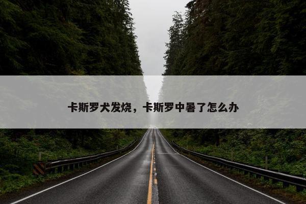卡斯罗犬发烧，卡斯罗中暑了怎么办