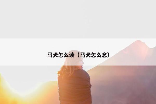 马犬怎么读（马犬怎么念）
