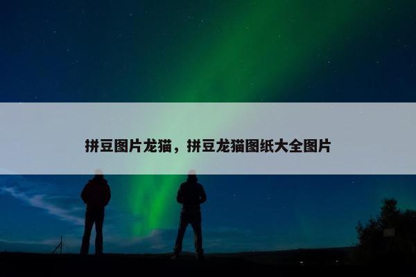 拼豆图片龙猫，拼豆龙猫图纸大全图片