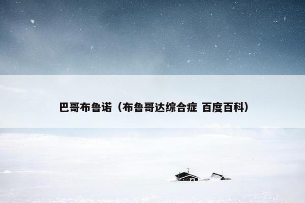 巴哥布鲁诺（布鲁哥达综合症 百度百科）