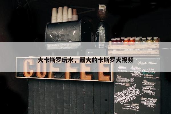 大卡斯罗玩水，最大的卡斯罗犬视频