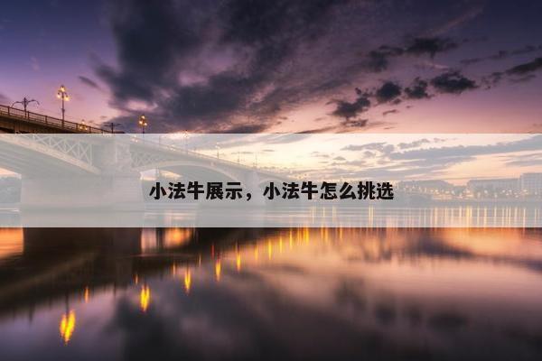 小法牛展示，小法牛怎么挑选