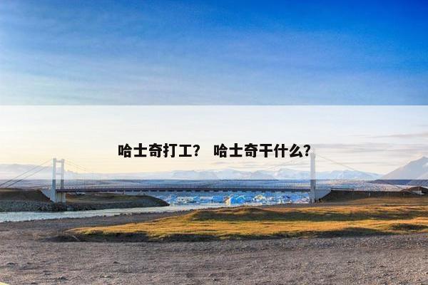 哈士奇打工？ 哈士奇干什么？