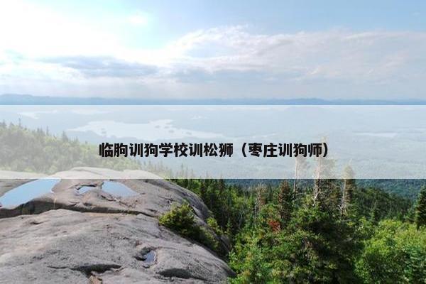 临朐训狗学校训松狮（枣庄训狗师）