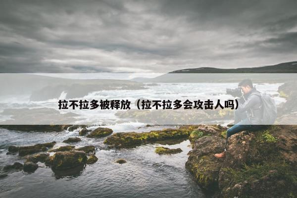 拉不拉多被释放（拉不拉多会攻击人吗）