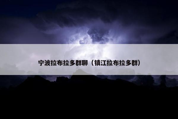 宁波拉布拉多群聊（镇江拉布拉多群）