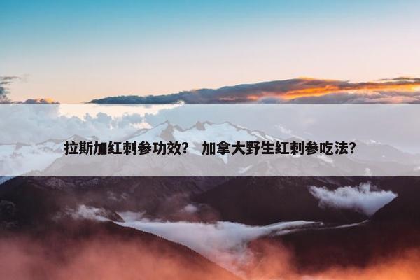 拉斯加红刺参功效？ 加拿大野生红刺参吃法？