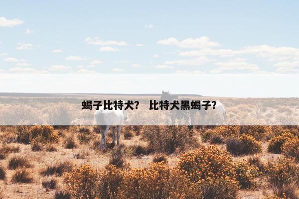 蝎子比特犬？ 比特犬黑蝎子？