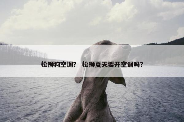 松狮狗空调？ 松狮夏天要开空调吗？