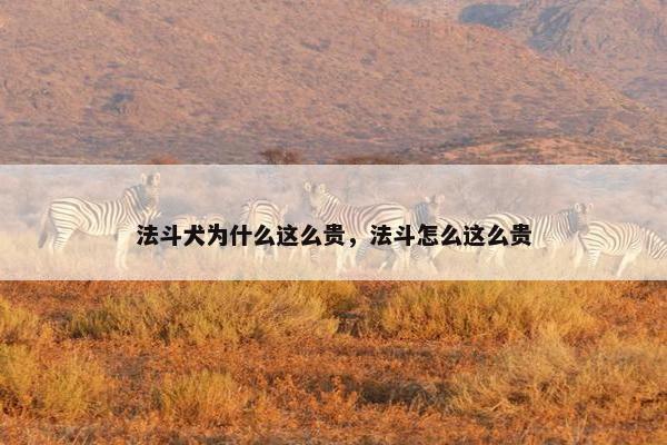 法斗犬为什么这么贵，法斗怎么这么贵