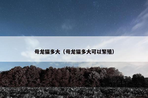 母龙猫多大（母龙猫多大可以繁殖）