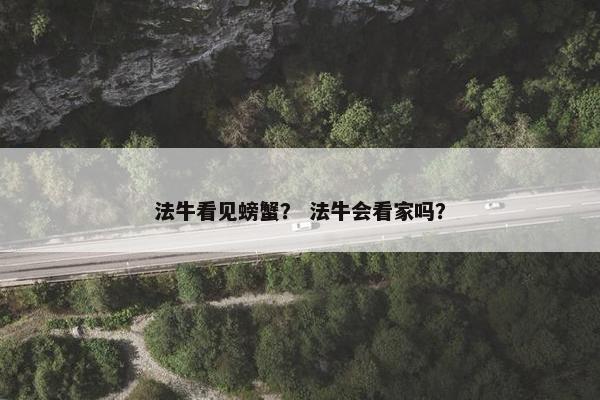 法牛看见螃蟹？ 法牛会看家吗？