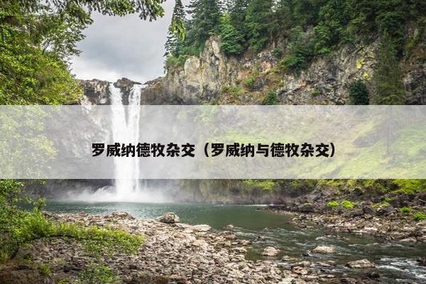 罗威纳德牧杂交（罗威纳与德牧杂交）