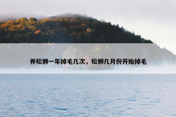 养松狮一年掉毛几次，松狮几月份开始掉毛