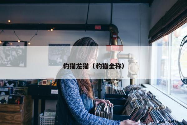 豹猫龙猫（豹猫全称）