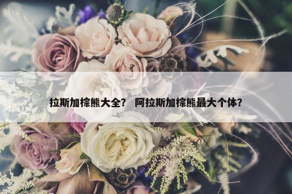 拉斯加棕熊大全？ 阿拉斯加棕熊最大个体？
