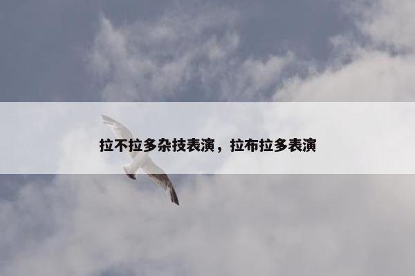 拉不拉多杂技表演，拉布拉多表演