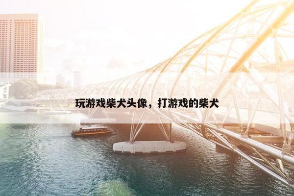 玩游戏柴犬头像，打游戏的柴犬