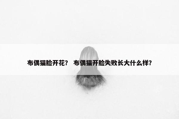 布偶猫脸开花？ 布偶猫开脸失败长大什么样？