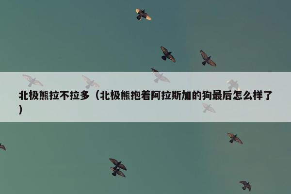 北极熊拉不拉多（北极熊抱着阿拉斯加的狗最后怎么样了）