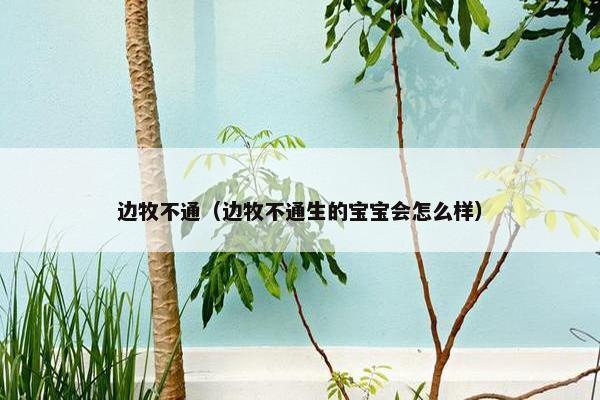边牧不通（边牧不通生的宝宝会怎么样）