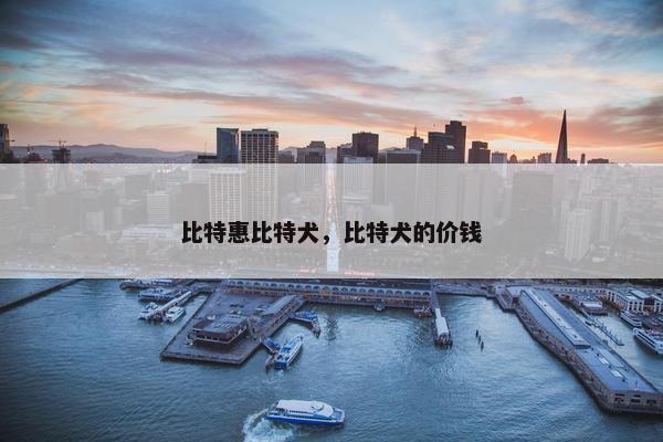 比特惠比特犬，比特犬的价钱