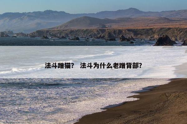 法斗蹭猫？ 法斗为什么老蹭背部？