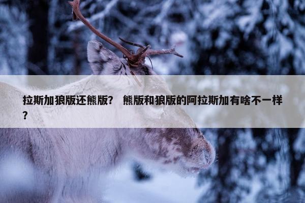 拉斯加狼版还熊版？ 熊版和狼版的阿拉斯加有啥不一样？