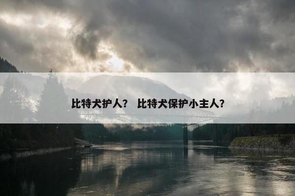比特犬护人？ 比特犬保护小主人？