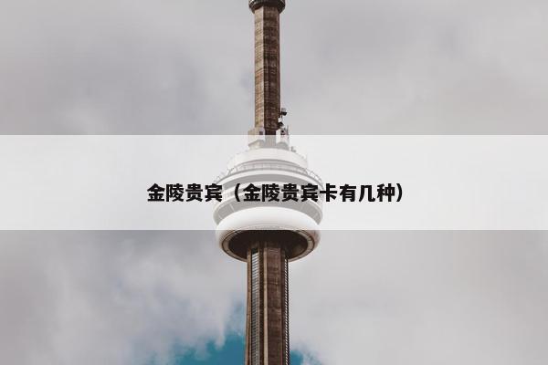 金陵贵宾（金陵贵宾卡有几种）
