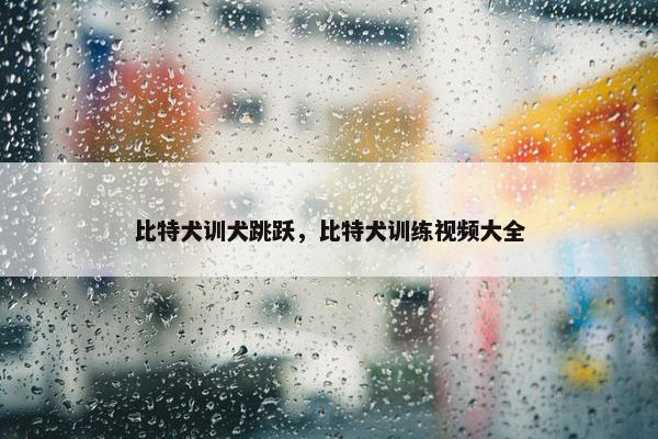 比特犬训犬跳跃，比特犬训练视频大全