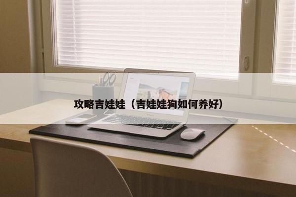 攻略吉娃娃（吉娃娃狗如何养好）