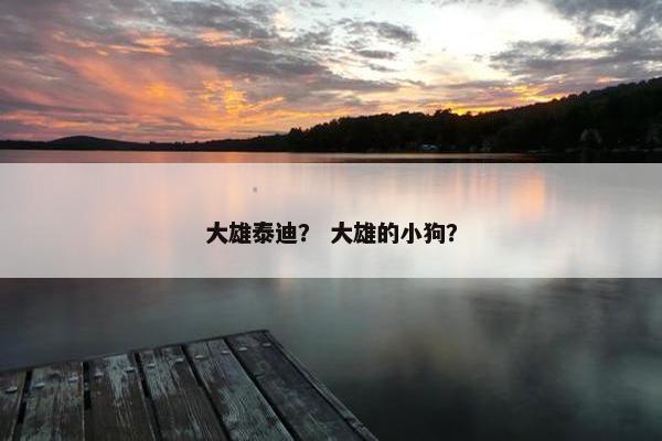 大雄泰迪？ 大雄的小狗？