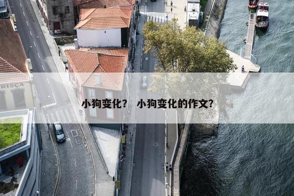小狗变化？ 小狗变化的作文？