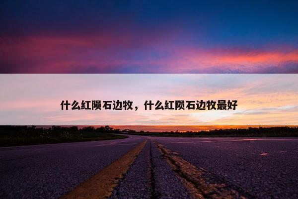 什么红陨石边牧，什么红陨石边牧最好