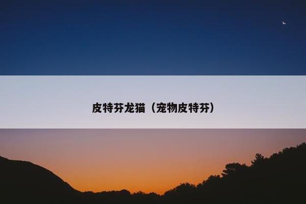 皮特芬龙猫（宠物皮特芬）