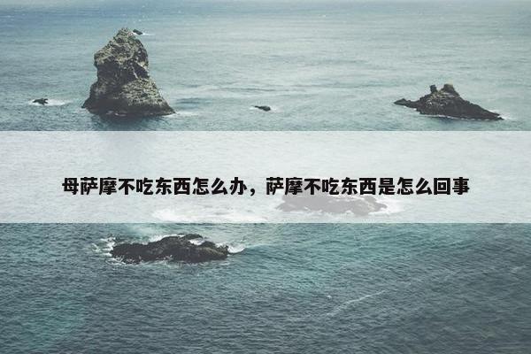 母萨摩不吃东西怎么办，萨摩不吃东西是怎么回事