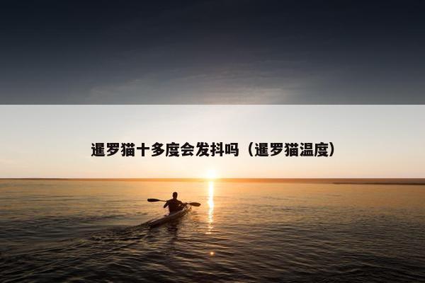 暹罗猫十多度会发抖吗（暹罗猫温度）