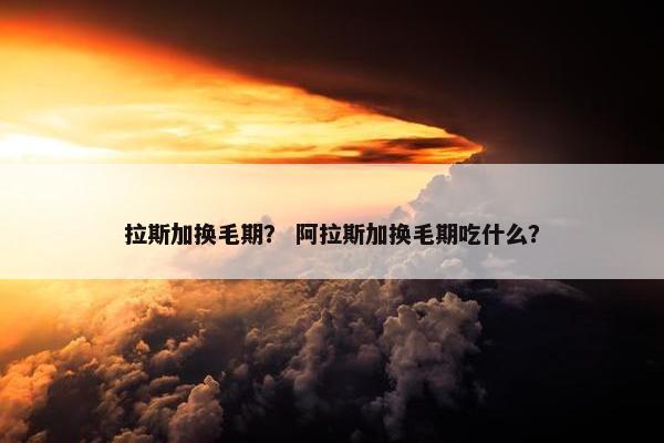 拉斯加换毛期？ 阿拉斯加换毛期吃什么？