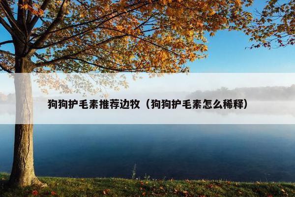 狗狗护毛素推荐边牧（狗狗护毛素怎么稀释）