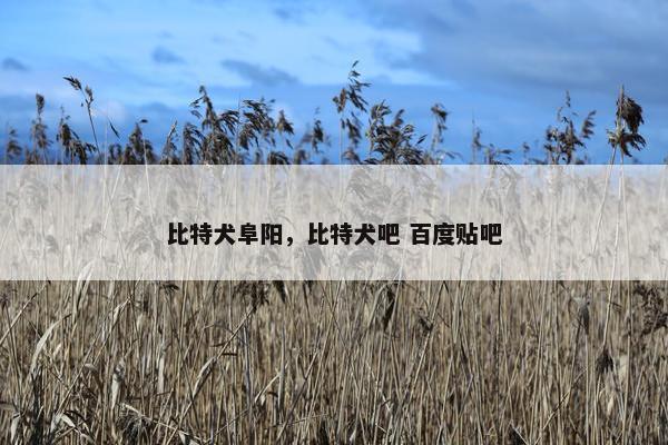 比特犬阜阳，比特犬吧 百度贴吧