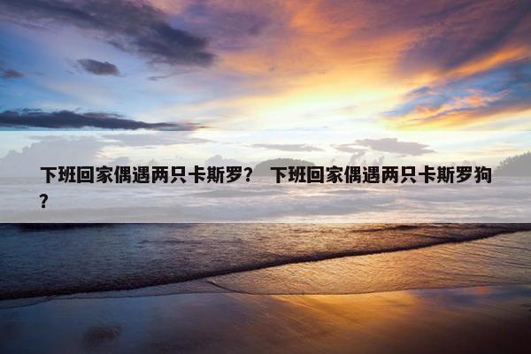 下班回家偶遇两只卡斯罗？ 下班回家偶遇两只卡斯罗狗？