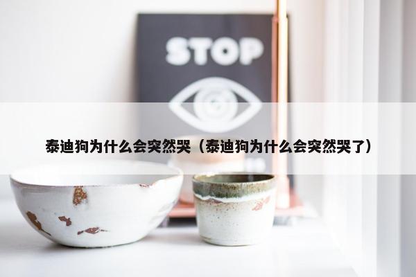 泰迪狗为什么会突然哭（泰迪狗为什么会突然哭了）