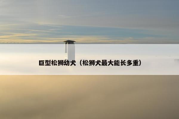 巨型松狮幼犬（松狮犬最大能长多重）