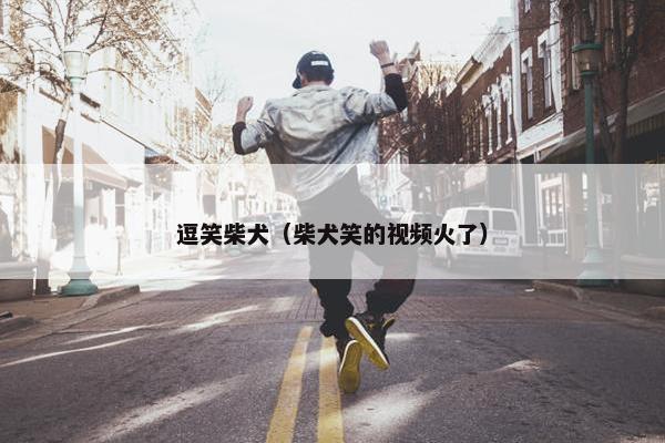逗笑柴犬（柴犬笑的视频火了）