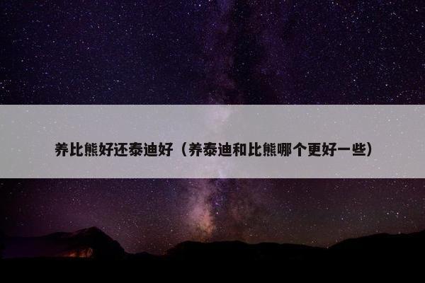 养比熊好还泰迪好（养泰迪和比熊哪个更好一些）
