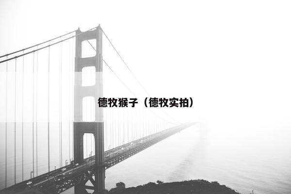 德牧猴子（德牧实拍）