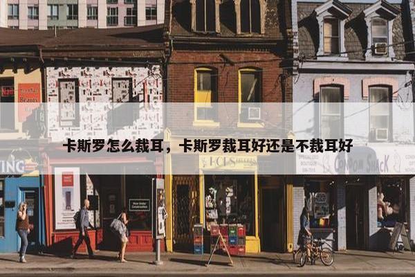 卡斯罗怎么裁耳，卡斯罗裁耳好还是不裁耳好
